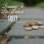 Learning to Live Without Greed: Study 08, Learning to Live Without